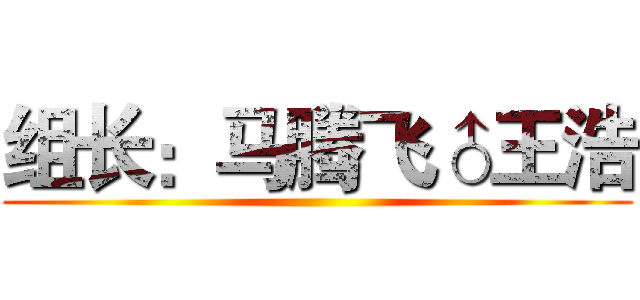 组长：马腾飞♂王浩 ()