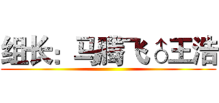 组长：马腾飞♂王浩 ()
