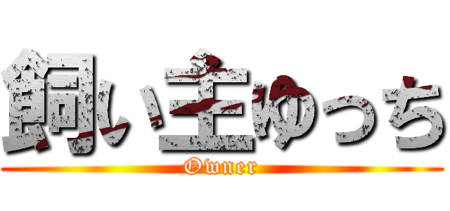 飼い主ゆっち (Owner)