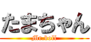 たまちゃん (Mr.boll)
