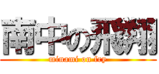 南中の飛翔 (minami on fry)