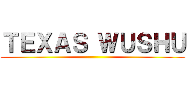 ＴＥＸＡＳ ＷＵＳＨＵ ()