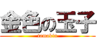 金色の玉子 (tamakin)