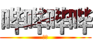 哔哔哔哔 (粉粉)