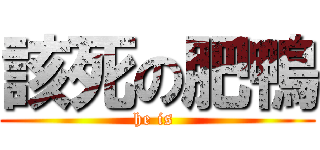 該死の肥鴨 (he is )