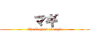      マギ      (-The kingdam of magic-)