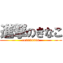 進撃のきなこ (co2034396)