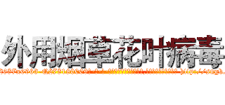外用烟草花叶病毒 (外用烟草花叶病毒【电-186x2687x6963-Q278180069元-吉-药-业】我们做的是长期生意,靠的是老客户长期支持 http://sngk.net/KvLXGS
)
