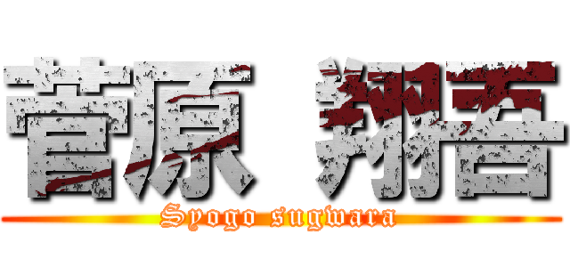 菅原 翔吾 (Syogo sugwara)
