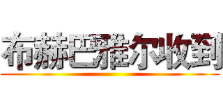 布赫巴雅尔收到 ()