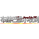 布赫巴雅尔收到 ()