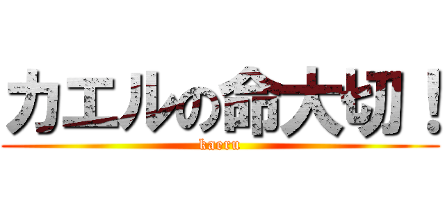 カエルの命大切！ (kaeru)