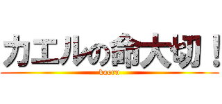 カエルの命大切！ (kaeru)