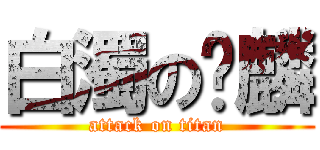 白濁の髒麟 (attack on titan)