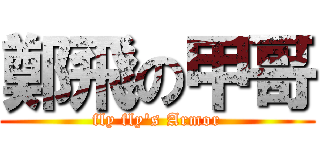 鄭飛の甲哥 (fly fly\'s Armor)