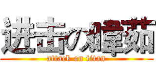 进击の暐茹 (attack on titan)