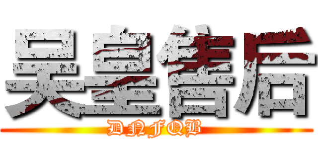 吴皇售后 (DNFQB)