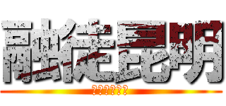 融徒昆明 (ゆーとこんあ)