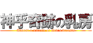 神乎奇跡の乳房 (Almost a miracle of God\'s breasts)