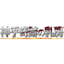 神乎奇跡の乳房 (Almost a miracle of God\'s breasts)