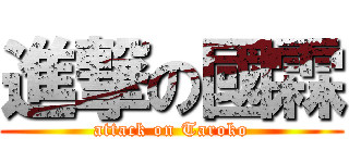 進撃の國霖 (attack on Taroko)