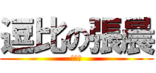 逗比の張晨 (真逗比)