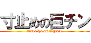 寸止めの巨チン (tantalize on bigdick)