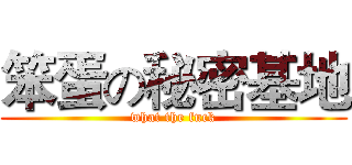笨蛋の秘密基地 (what the fuck)