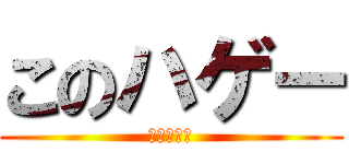このハゲー (なんちって)