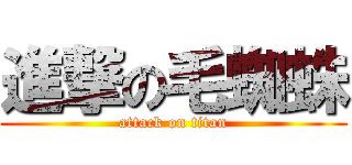 進撃の毛蜘蛛 (attack on titan)