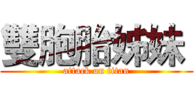 雙胞胎姊妹  (attack on titan)