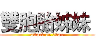 雙胞胎姊妹  (attack on titan)