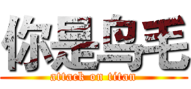 你是鸟毛 (attack on titan)