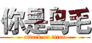 你是鸟毛 (attack on titan)