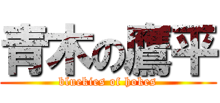 青木の鷹平 (bluekies of hokes)