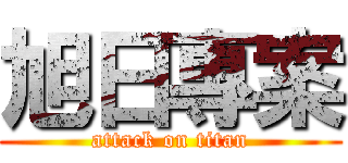 旭日專案 (attack on titan)