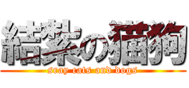結紮の猫狗 (sray cats and dogs)