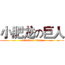 小肥龙の巨人 (attack on titan)