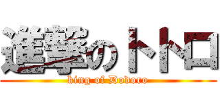 進撃のトトロ (king of Dodoro)