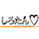 しろたん♡ (attack on SHIROTAN)