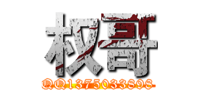 权哥 (QQ1375033898)