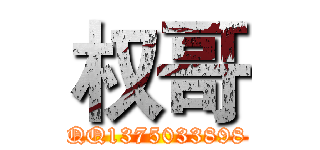 权哥 (QQ1375033898)