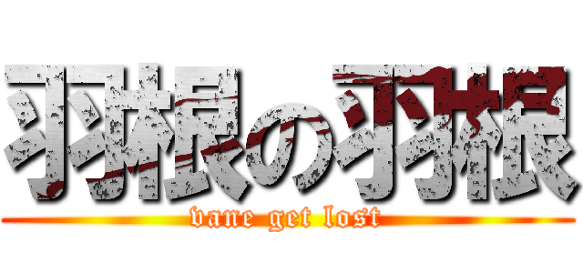 羽根の羽根 (vane get lost)