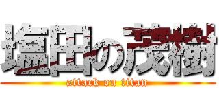 塩田の茂樹 (attack on titan)