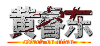 黄睿东 (attack on titan)