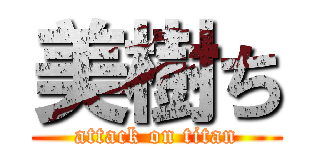 美樹ち (attack on titan)