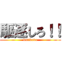 駆逐しろ！！ (kutikuda)