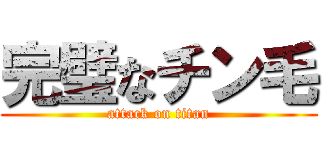 完璧なチン毛 (attack on titan)