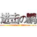 进击の鹏 (attack on titan)