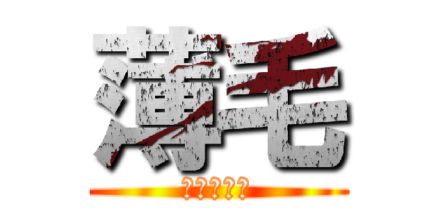 薄毛 (髪は大切に)